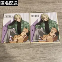 南雲与一】サカモトデイズ 「猫と戯れver.」トレーディングミニ色紙