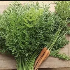 人参 葉っぱ 人参葉 野菜 葉 - メルカリ