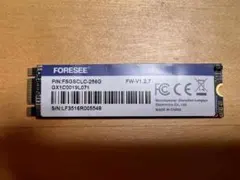 FORESEE 256GB 内蔵型SSD FSGSCLC-256G
