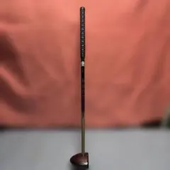 Item thumbnail for item 65d819cf-3f6a-4e57-a63a-417d8ee5057d