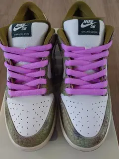 Nike SB Dunk LowPro　アレクシスサブローン