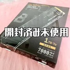 ＊内蔵SSD WD Black SN850 1TB WDS100T1X0E＊