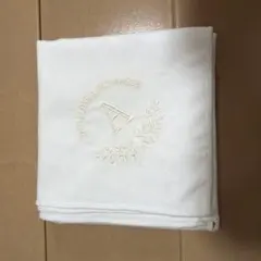 Item thumbnail for item fa9b5d24-97d4-46d7-ba76-faf1ed1d3a4b