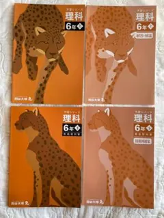 未使用 四谷大塚 予習シリーズ 理科6年 解答解説 上下 有名校対策 別冊解説