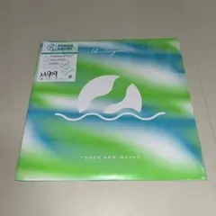 Yogee New Waves / WINDORGAN LP 2枚組 限定盤 - メルカリ