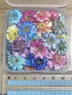 ハンドメイド　花材　ドライフラワー　マトリカリア　mixカラー 20輪+α マトリカリア ドライフラワー（25輪） ドライフラワー Flower shop