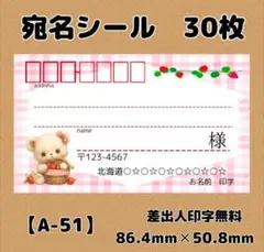 【A-51】宛名シール30枚/サンキュー/ケア/ほんのきもち/差出人/配達員