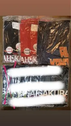 バレーボール　Tシャツ　関東　全国　限定　非売品