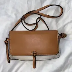 新品未使用　ショルダーバッグ　ミニバッグ　zara coach LOEWE