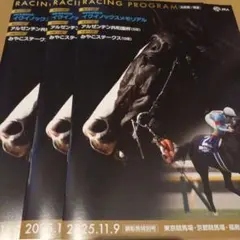 11/9 JRA レーシングプログラム