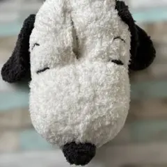 ジェラピケ　スヌーピー　ティシュケース