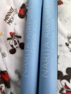 Item thumbnail for item a6cc6372-848f-4521-8cab-59dc07a58b0d