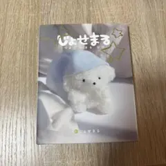 Item thumbnail for item 34525f19-2fa4-4df9-b0b7-72f7ec042e20