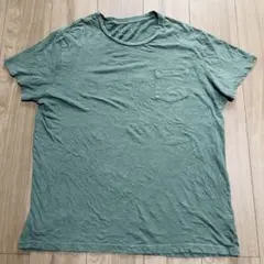 2606-34 Tシャツ クルーネック 半袖 L 緑 綿 普段着 淡いグリーンのサムネイル