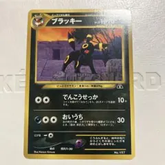 ポケモンカード ブラッキー 旧裏 neo プレミアムファイル2 No197