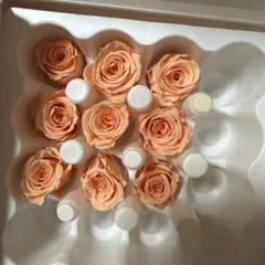 Kei様 リクエスト 2点 まとめ商品