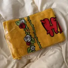 hana ファンミ アイドル