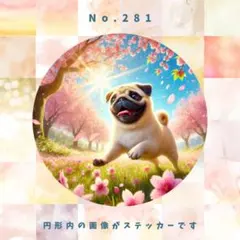 PagPag様 リクエスト 2点 まとめ商品