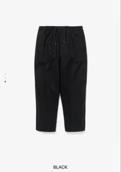 Item thumbnail for item 4370f4b5-f7e1-453a-ae01-f84d7969e896