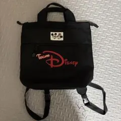 Team Disney ミッキー＆ミニー 2WAYバッグ