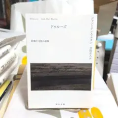 ドゥルーズ 経験不可能の経験