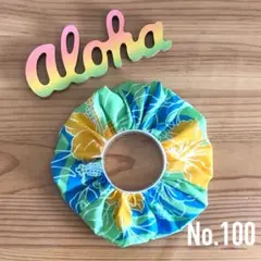 Item thumbnail for item ad08767e-22f8-4b18-87b3-0071773f7179