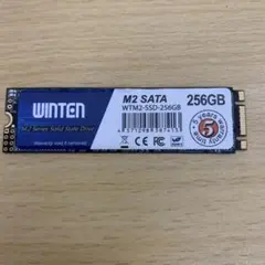 M.2 SSD 256GB SATA 正常 873時間 WINTEN