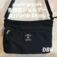 アネログランデ　多機能ショルダーバッグ(DBK)