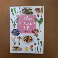 Item thumbnail for item 44a40f3d-bcc5-415b-be01-4fb495e904d4