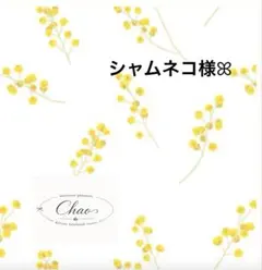 ミニチュアスイーツꕤ︎︎シャムネコ様専用ページ