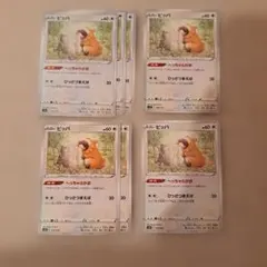 ビッパ 7枚セットのサムネイル