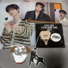 straykids スンミン⭐︎