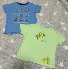 Item thumbnail for item 3d2af9c0-3e32-4e32-a515-36c95daa942a