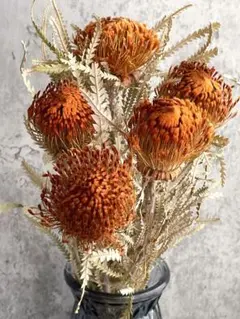 ドライアンドラフォルモーサ❣️ブロンズが綺麗なネイティブドライフラワー✨のサムネイル