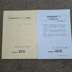 SEG 東大図形数学(理系) G & 東大解析数学(理系) G - メルカリ