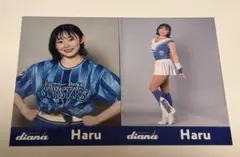 Item thumbnail for item 318b9f40-2489-45a0-aef0-bc45a5d610d4