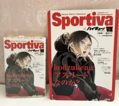 ハイキュー ショーセツバン ビジュアルボード 特典 孤爪研磨 