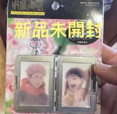 USJ 呪術廻戦 虎杖悠仁 高田ちゃん キーホルダー ボイス