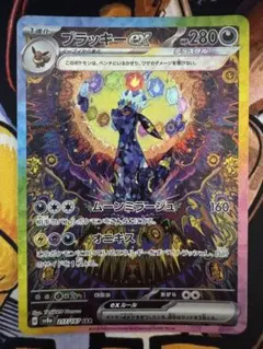 2026年最新】ブラッキーsarの人気アイテム - メルカリ