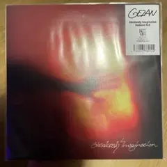 GEZAN 「Absolutely Imagination」7inch レコード - メルカリ