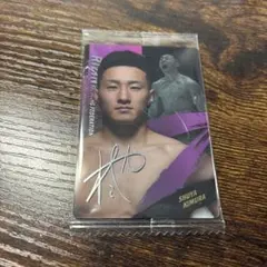 Item thumbnail for item 529801a9-a192-4776-8309-598df4ed51dc