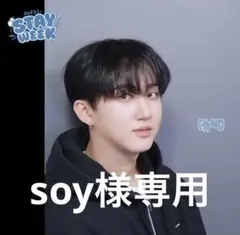 soy様専用ページ