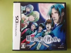 暗闇の果てで君を待つ DS
