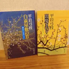 平岩弓枝 御宿かわせみ8巻と10巻2冊セット