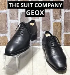 美品 ザスーツカンパニー GEOX ストレートチップ 革靴 ビジネス 