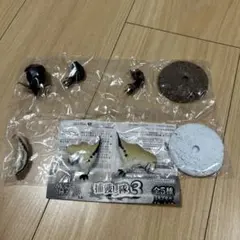 モンスターハンター、捕獲し隊3、ラージャン、ベリオロス