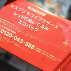 インレッド　7月号 付録 キウイブラザーズ レッド ぬいぐるみ エコバッグのサムネイル