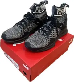 2026年最新】puma ignite evoknitの人気アイテム - メルカリ