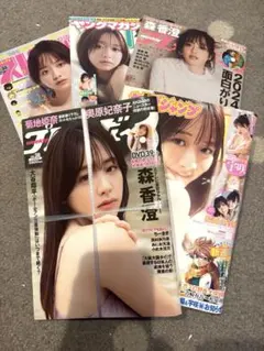 Item thumbnail for item 25ed6305-7426-4025-b1d3-93f629ed10b8