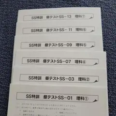 2025年最新】サピックス 6年 テストの人気アイテム - メルカリ